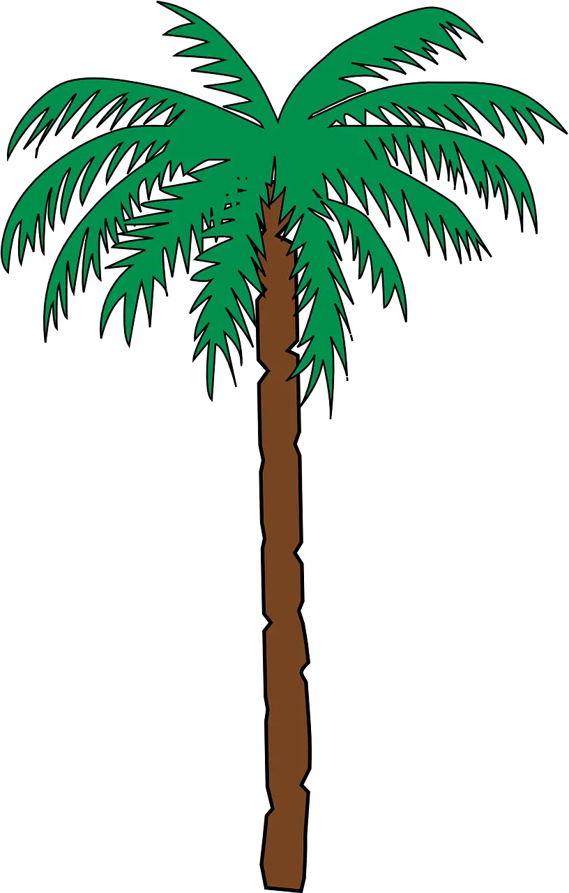 Transparent Coconut Tree Png