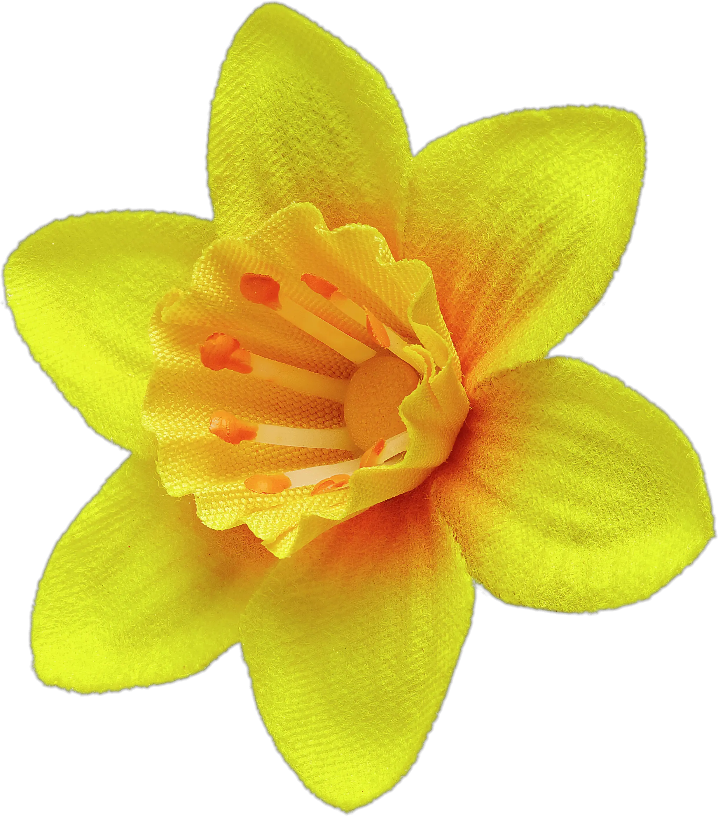 Daffodil Pin Transparent Png Clip Art Daffodil Daffodil Png