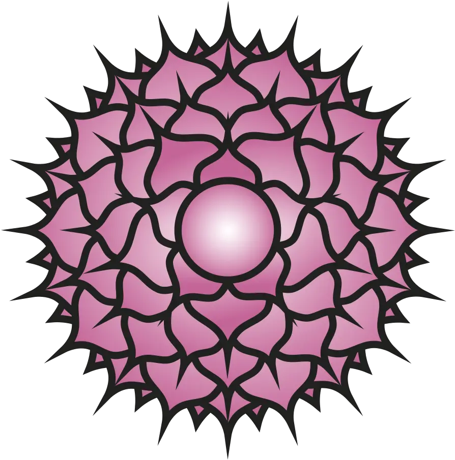 Crown Chakra Seventh Meaning Quantum Way Of Life Symbol Sahasrara Png Chakra Png