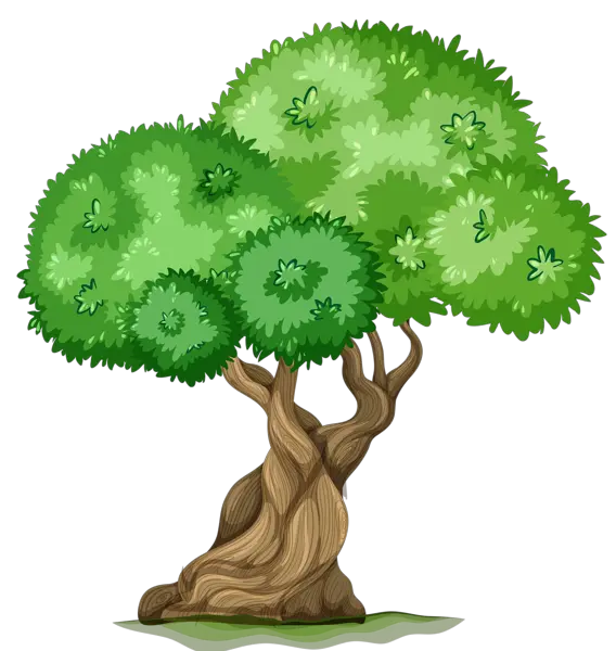 Planting Tree Png