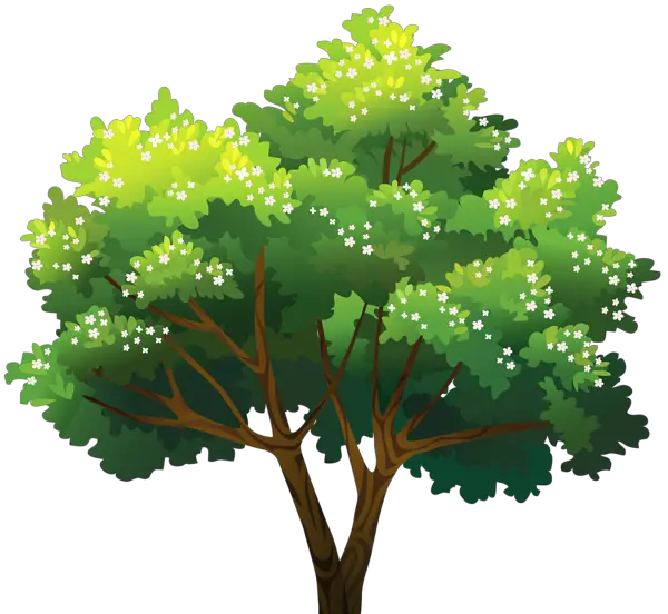 Old Tree Png