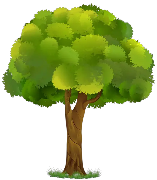 Khajoor Tree Png