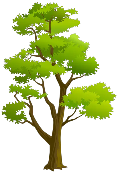 Bodhi Tree Png