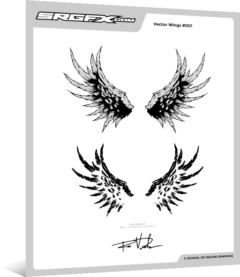 Hand Drawn Vector Wings 001 Graphic Design Png Wings Vector Png