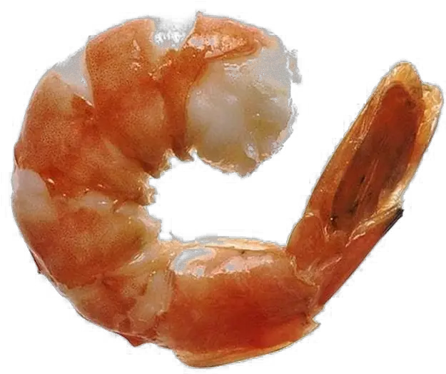 Ocean Shrimp Transparent Free Png Play Shrimp Cocaine Ocean Transparent Background