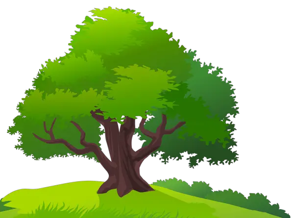 3d Tree Png