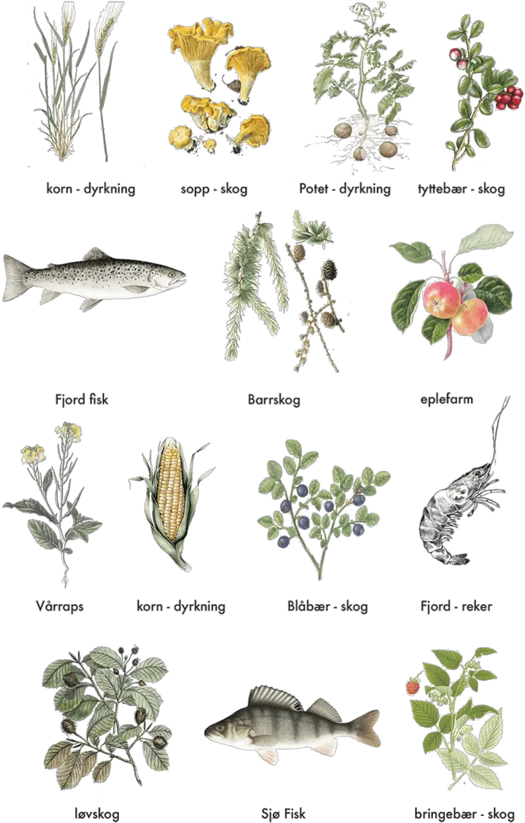 Sterudkvartalet U2014 Tin Amphibian Png Planter Png