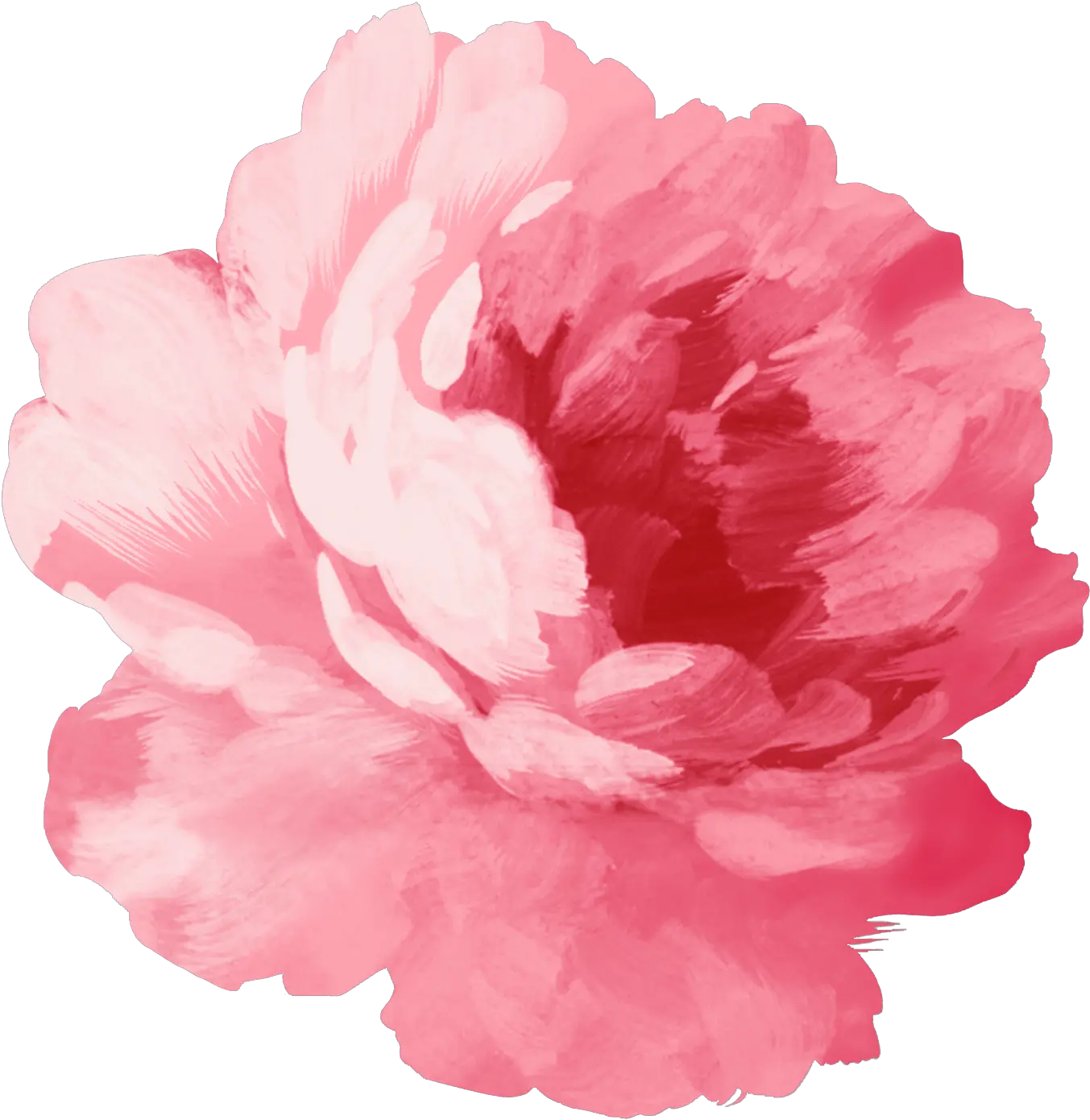 Pink Flower Png Peonies