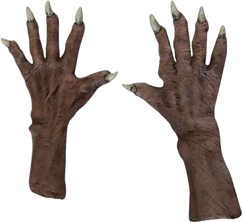 Download Ghoul Zombie Hands Gloves Vampire Hand Png Zombie Hands Png