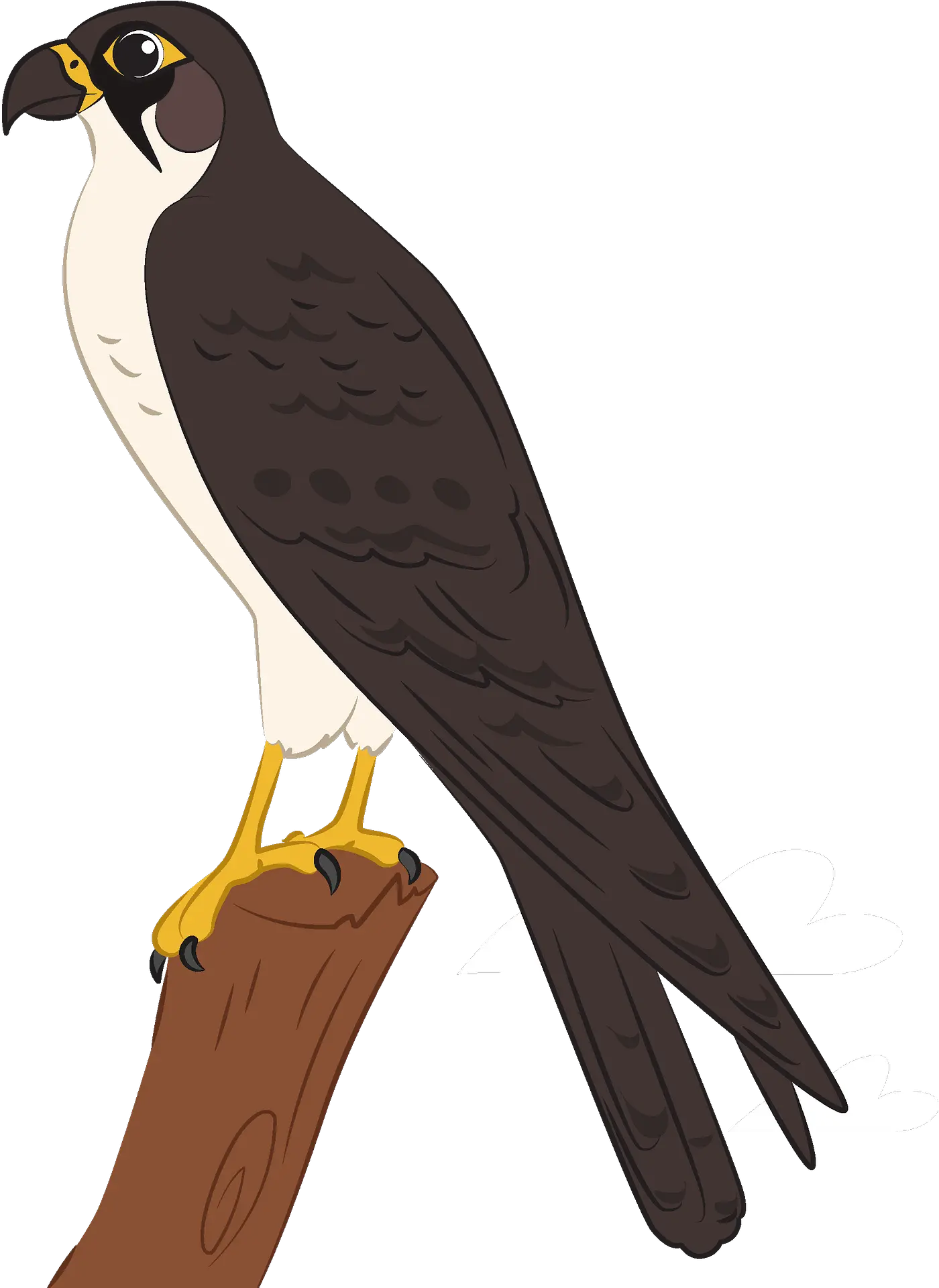 Clipart Falcon Png Falcon Transparent