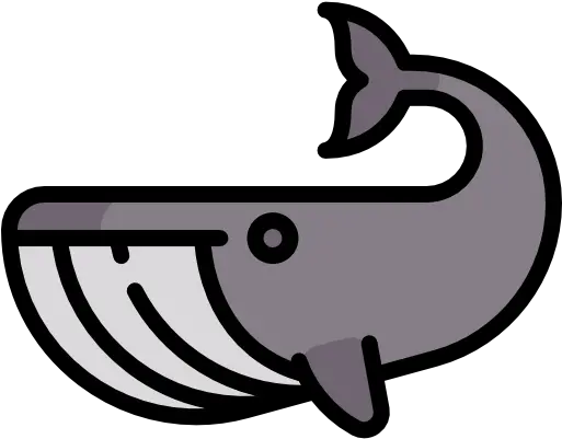 Free Icon Whale Fish Png Whale Icon