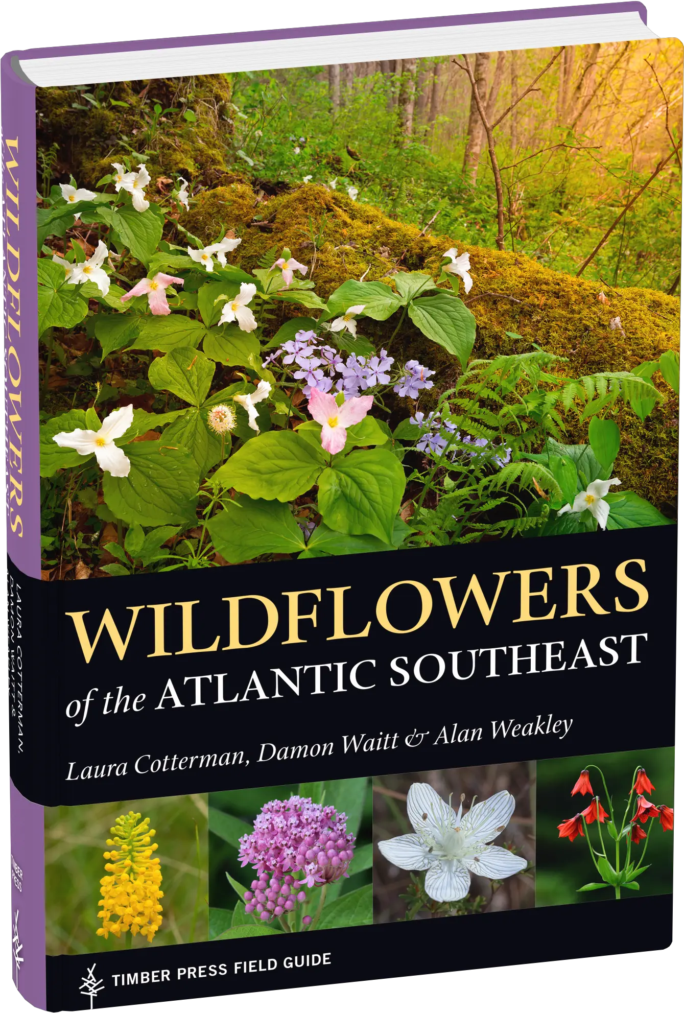 Wildflowers Of The Atlantic Southeast Wildflower Png Wild Flowers Png