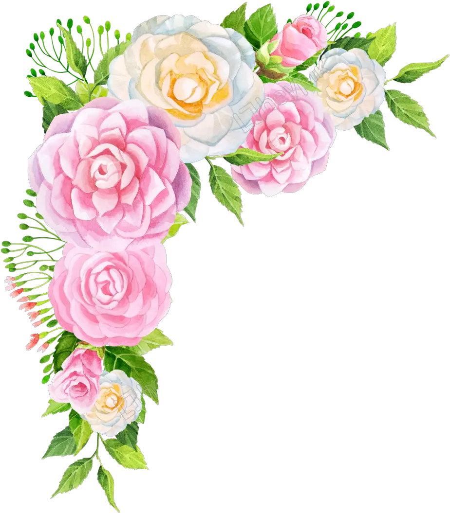 Garden Roses Floral Design Peony Pink Flower Peony Png Flowers Png Free Download Peony Transparent