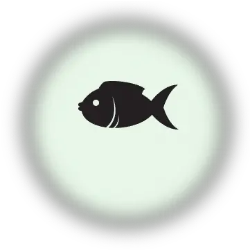 Fish Guide Bdo Codex Aquarium Fish Png Fish Icon