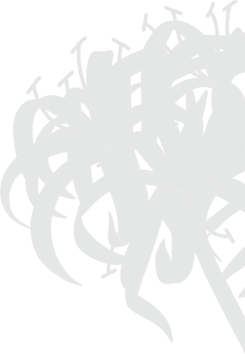 Pow Wow Comes To Waikiki U2013 Lilia Decorative Png Pow Transparent