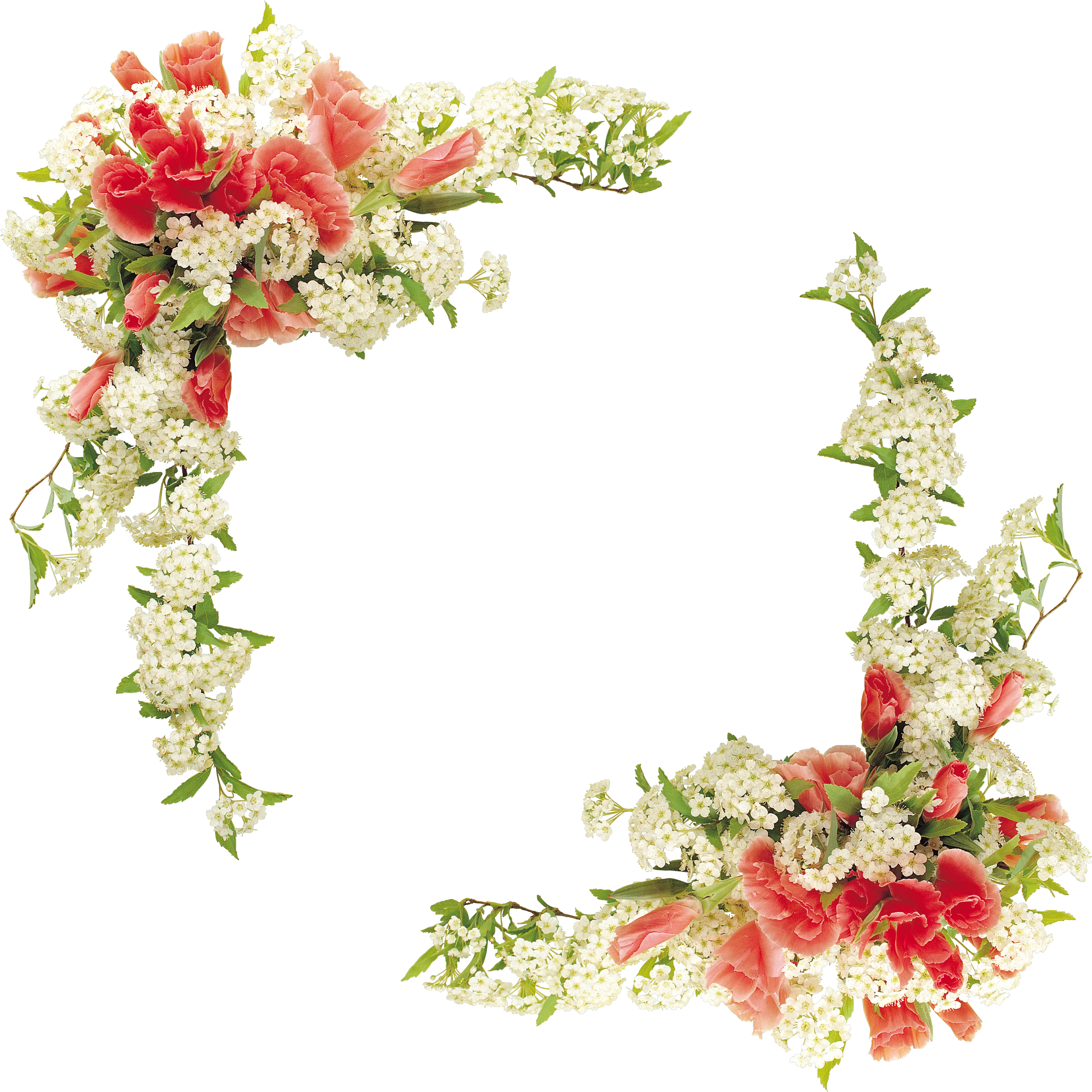 Border Flowers Floral Design Border Real Flower Png Border Design Transparent Background png