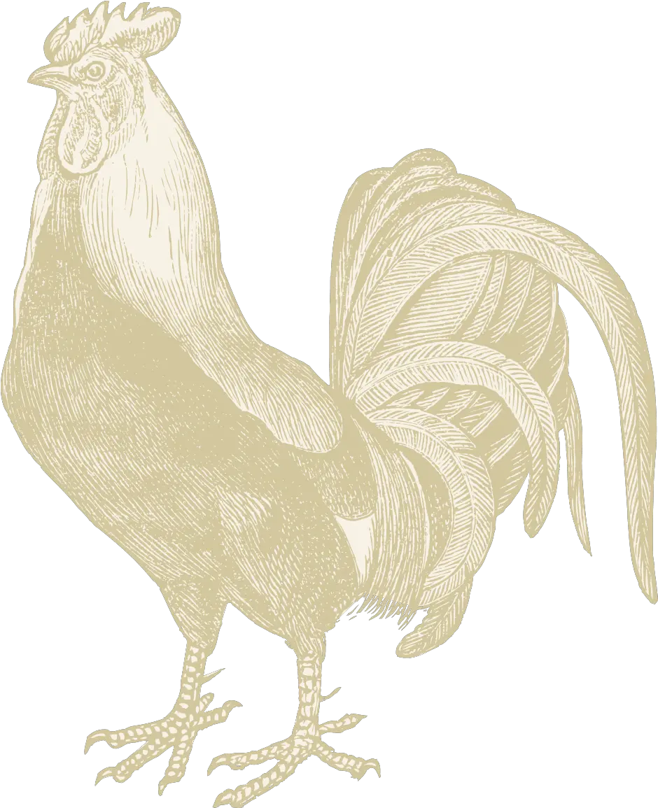 Iron Rooster Baltimore Md Jobs Hospitality Online Rooster Png Rooster Logo