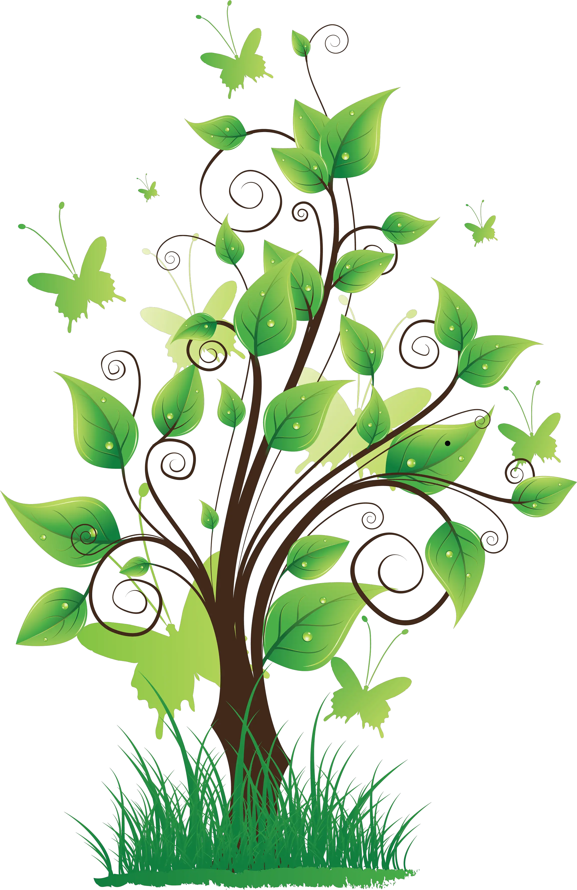 40 Tree Png Images Are Free To Download Nature Tree Background Design Nature Png