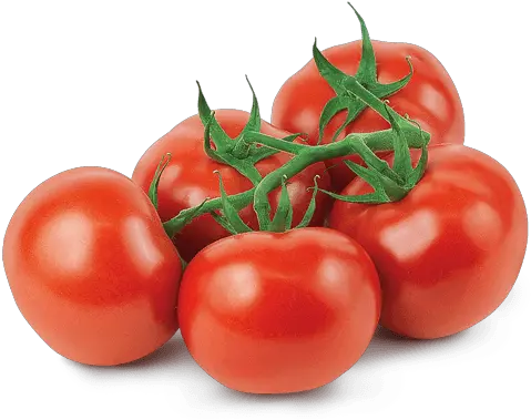 Mucci Farms Tov Tomatoes Png Tomatoe Png