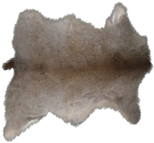 Fur Png 7 Image Wool Fur Png