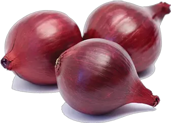 Red Onion Png 1 Image Red Onion Onion Png