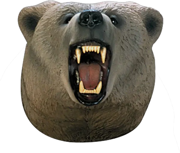 Grizzly Bear Archery Target Replacement Head Mouth Parts Of A Bear Png Grizzly Bear Png