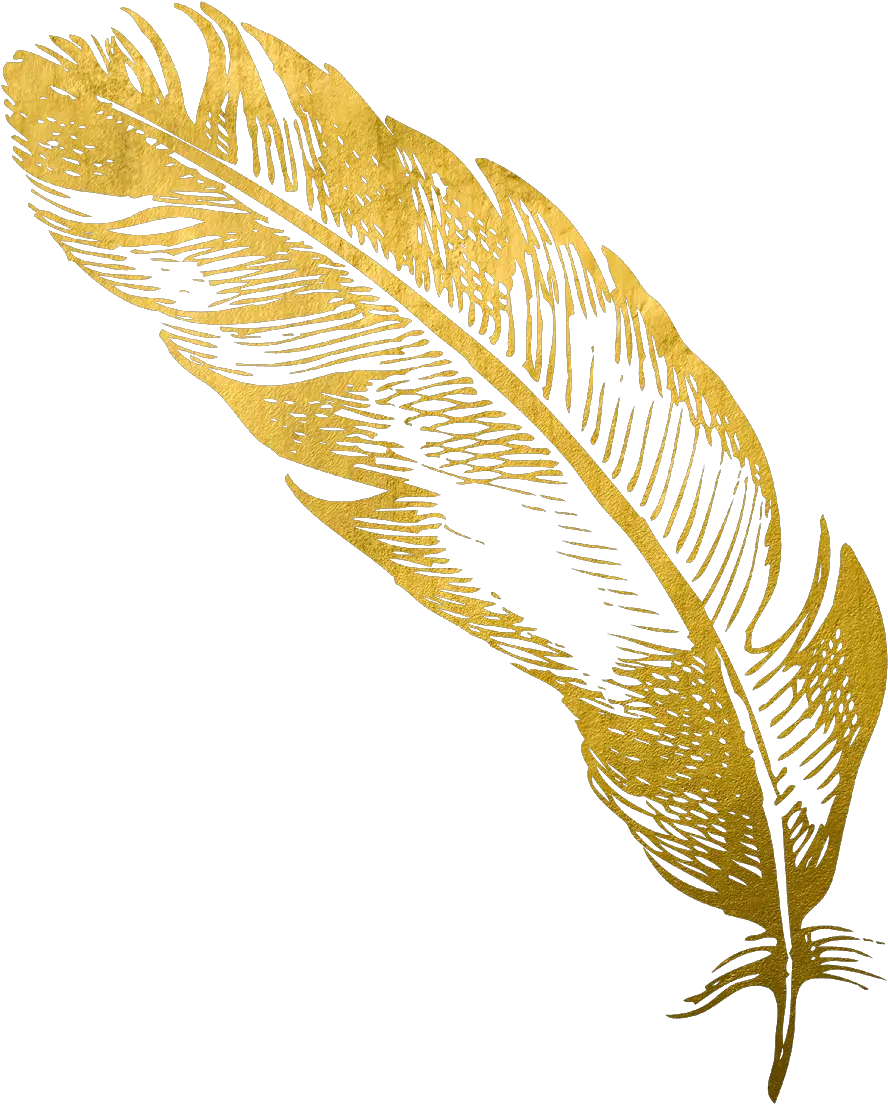 Cropped Goldfeatherpng Card Snobs Transparent Gold Feather Png Quill Pen Png