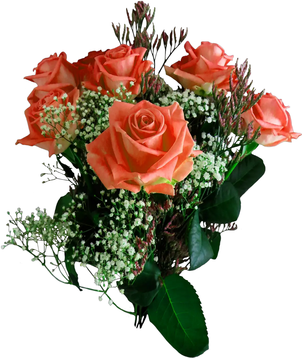 Download Rose Flower Png Image For Free Png For Picsart Rose Garden Flowers Png