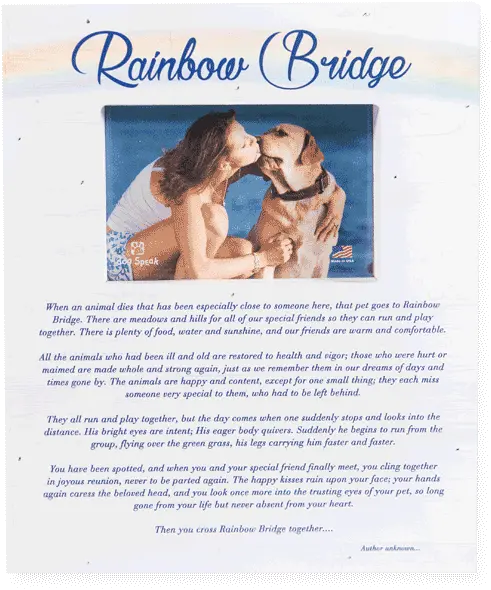 Pallet Box Wood Frame Rainbow Bridge International Kissing Day Png Friends Frame Png