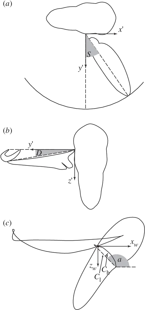 Definition Sketches Showing Calculation Of Kinematic Line Art Png Angle Wings Png