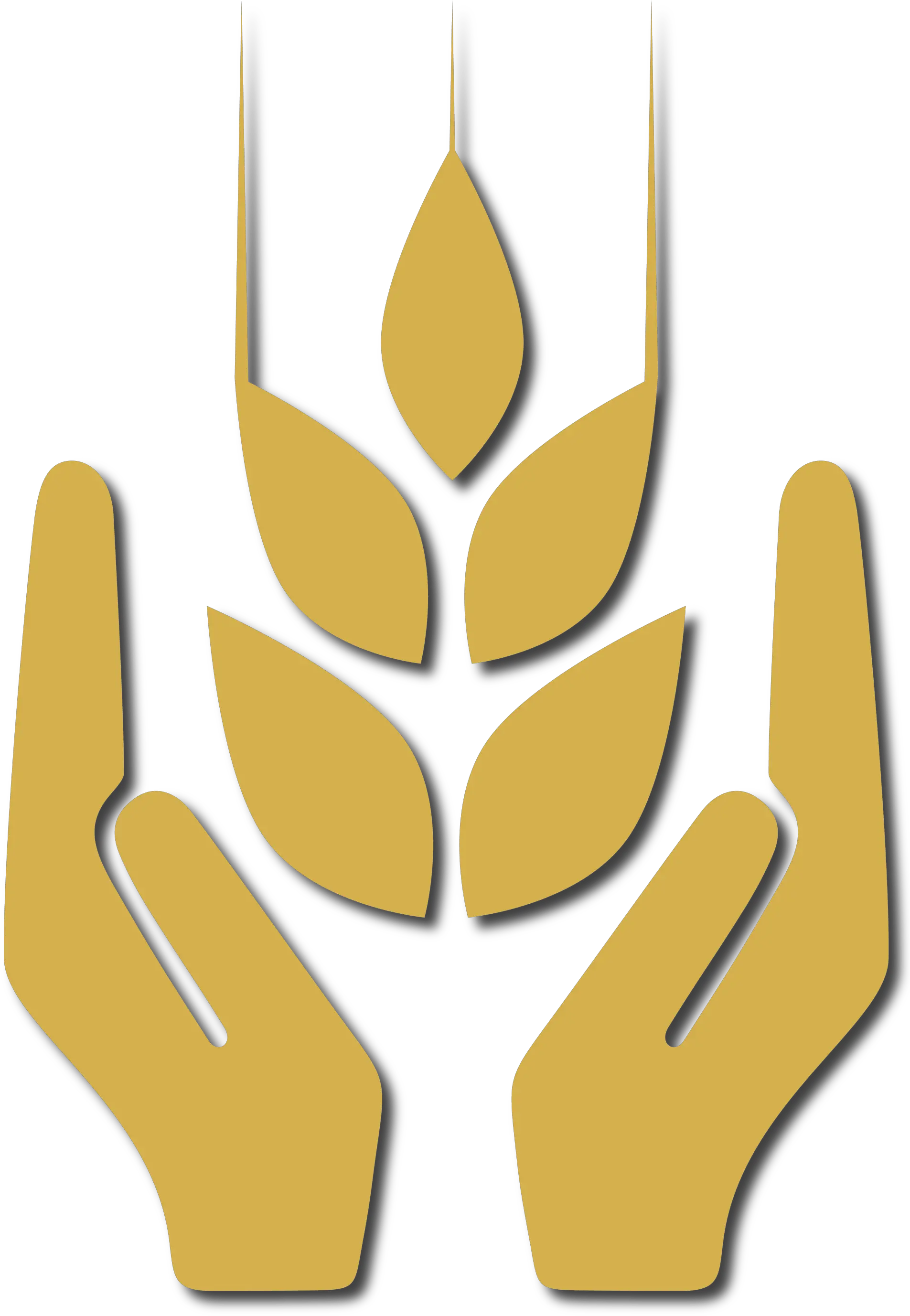Sas Consulting Is An Independent Applied Farming Consultant Language Png Sas Icon