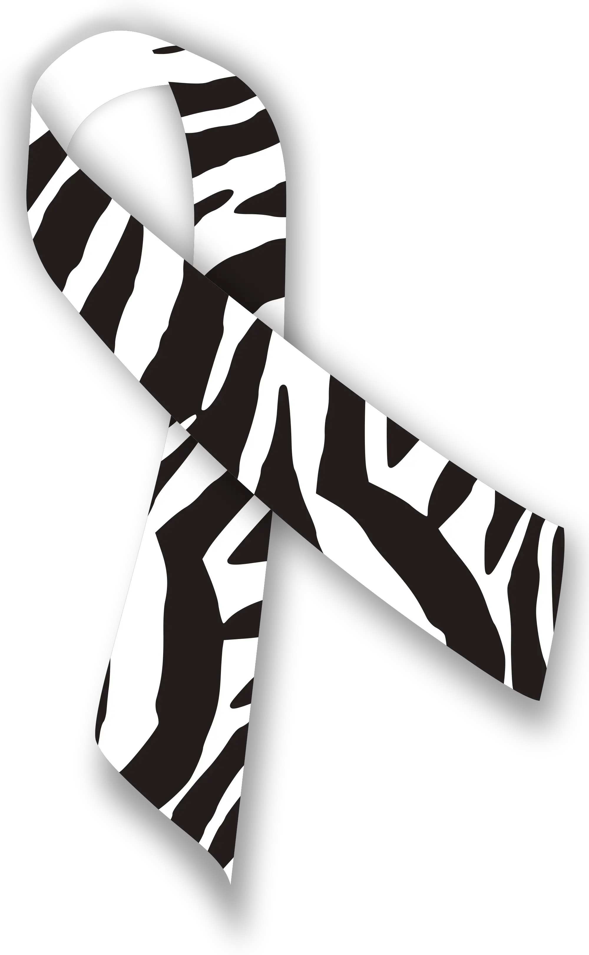 Zebra Ribbon Carcinoid Cancer Awareness Ribbon Png Zebra Logo Png