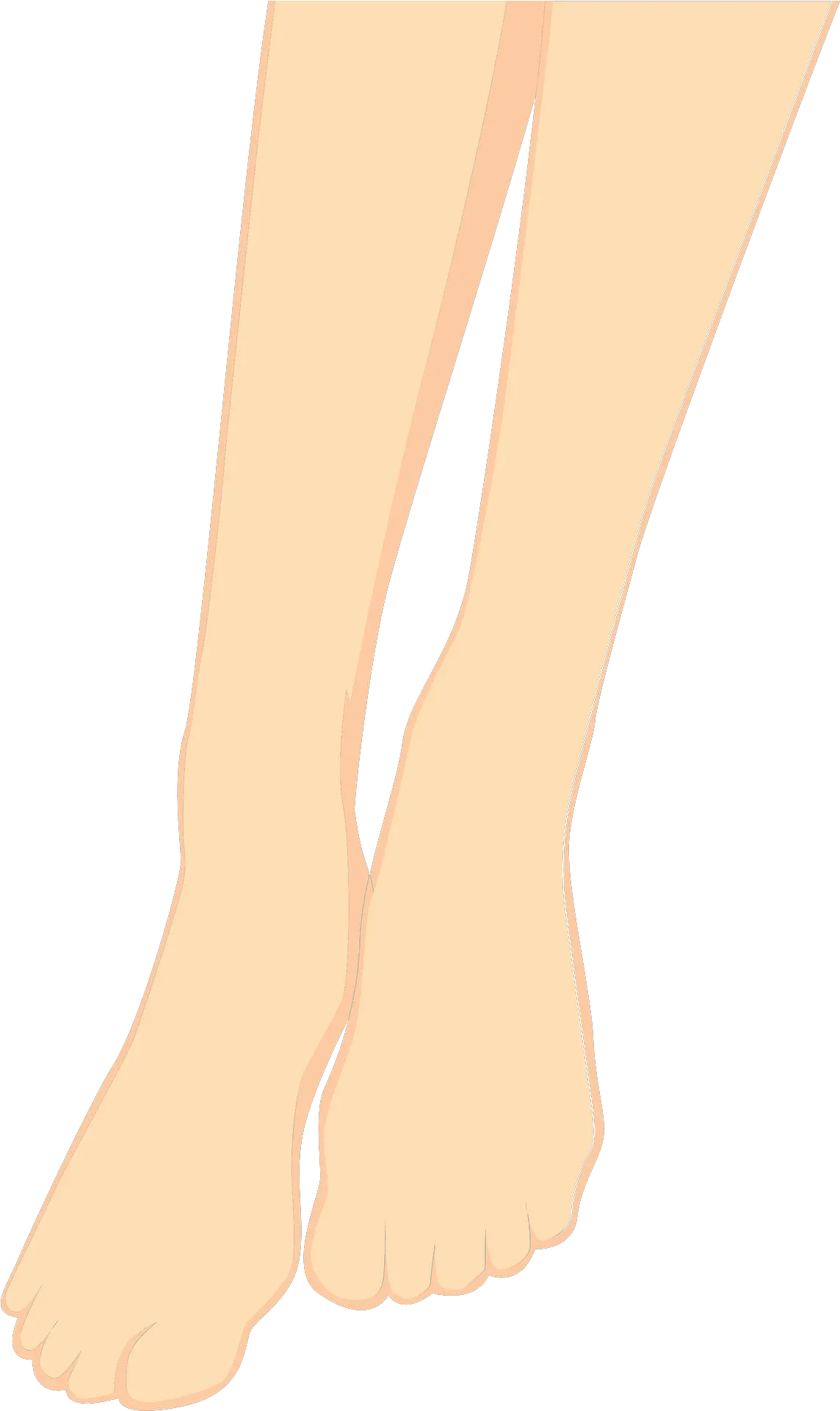 Feet Legs Clipart Free Download Transparent Png Creazilla Ankle Leg Png