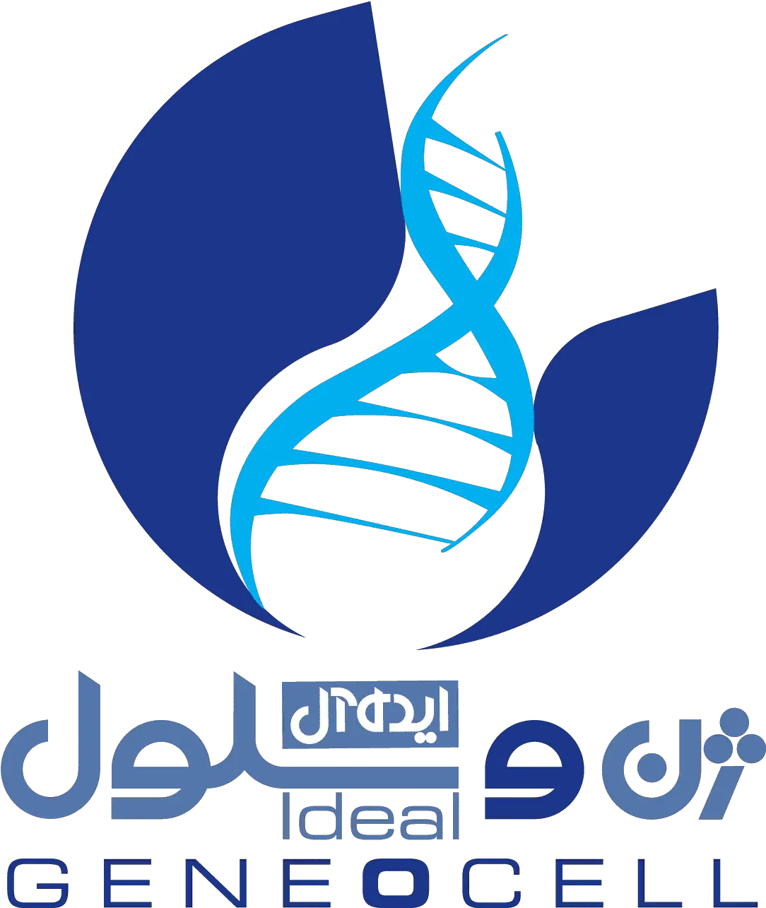 Vision U2013 Geno Cell Institute Graphic Design Png Geno Png