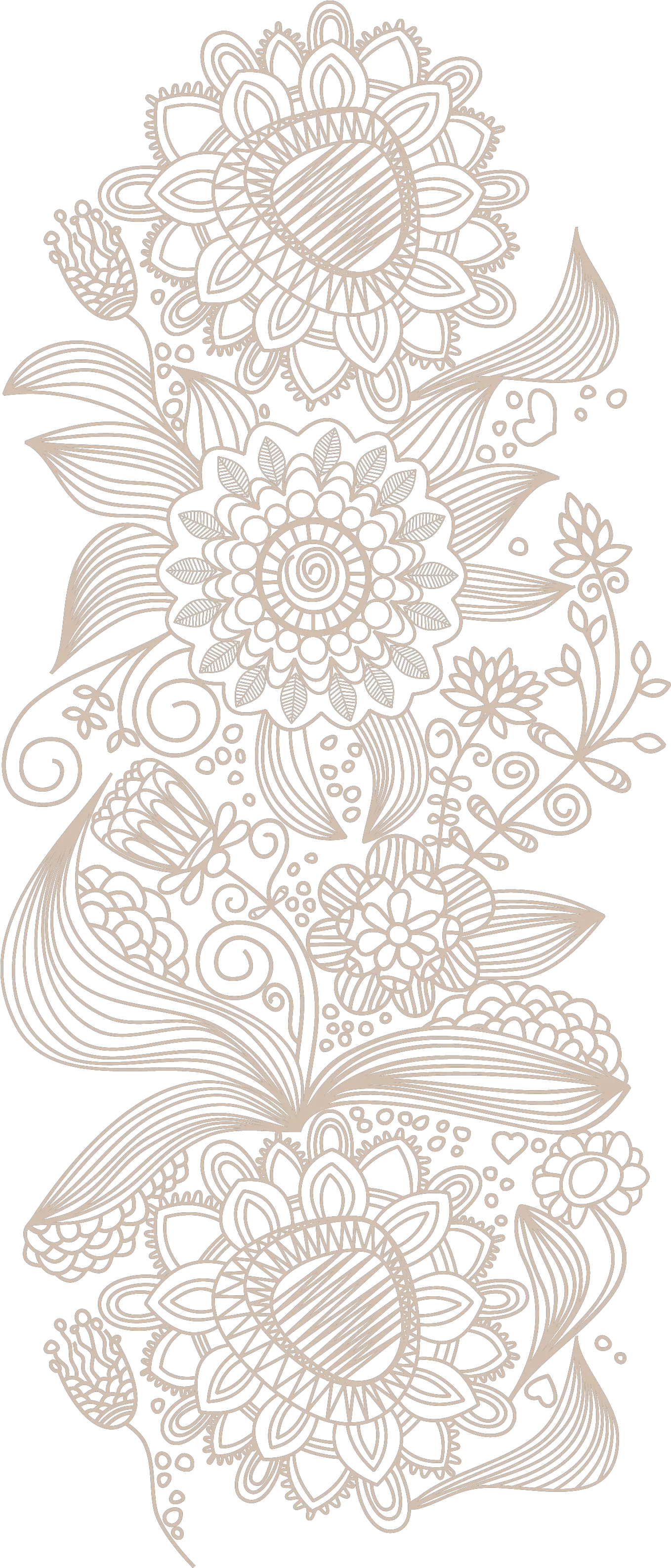 Flower Wallpaper Pattern Free Hd Image Transparent Vector Lace Png Lace Texture Png