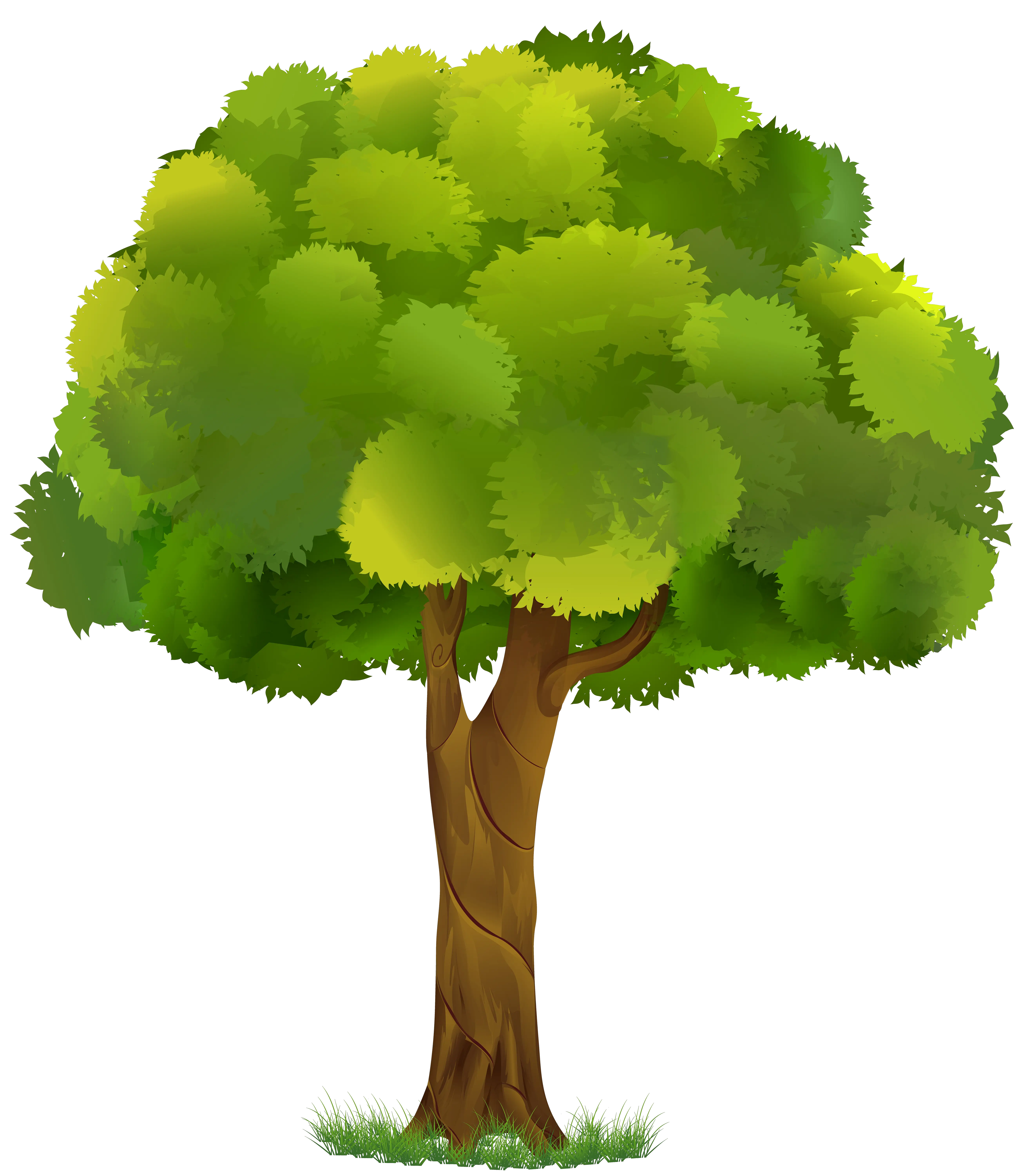 Tree Clipart Transparent Background Tree Clipart Transparent Background Png Transparent Backgrounds Png png