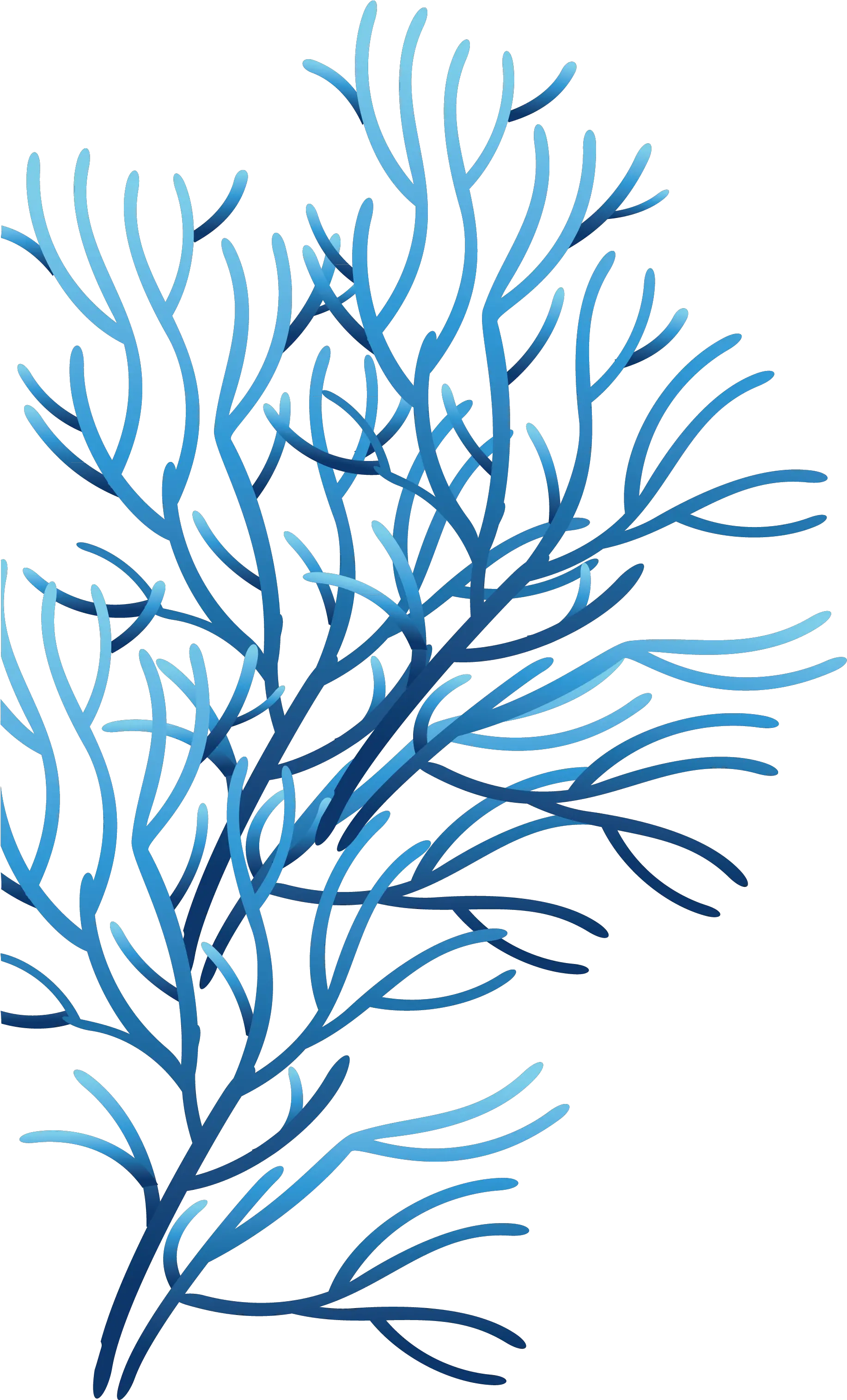 Clipart Library Coral Sea Clip Art Blue Coral Transparent Background Png Coral Png