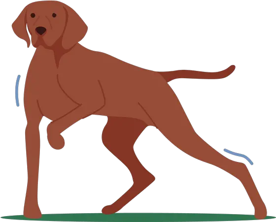 Aiming Archer Icon Download In Glyph Style Hunting Png Spear Hunt Icon