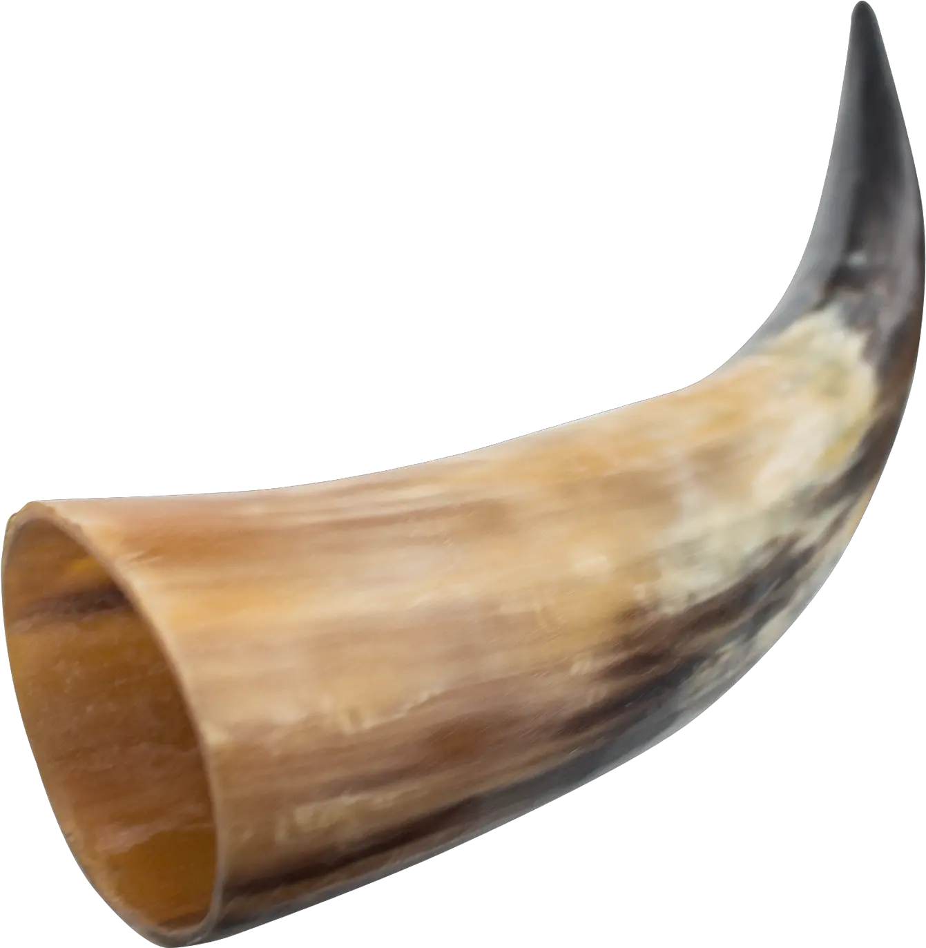 Viking Horn Png Viking Horn Png Horn Png