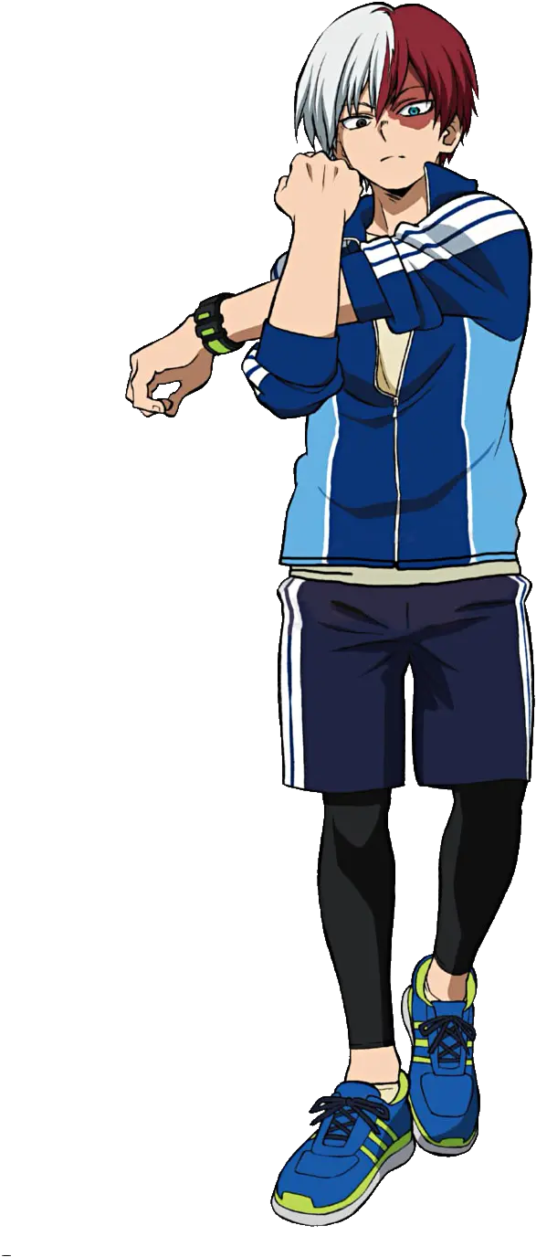 My Hero Academia Figure Todoroki Png Shoto Todoroki Transparent Background Todoroki Png