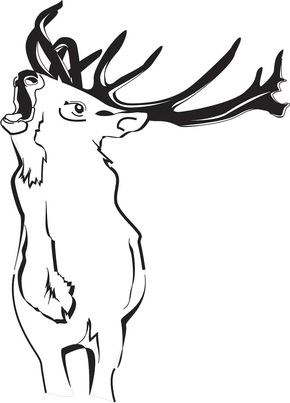 Deer Forest Loud Free Vector Graphic On Pixabay Deer Png Antlers Png