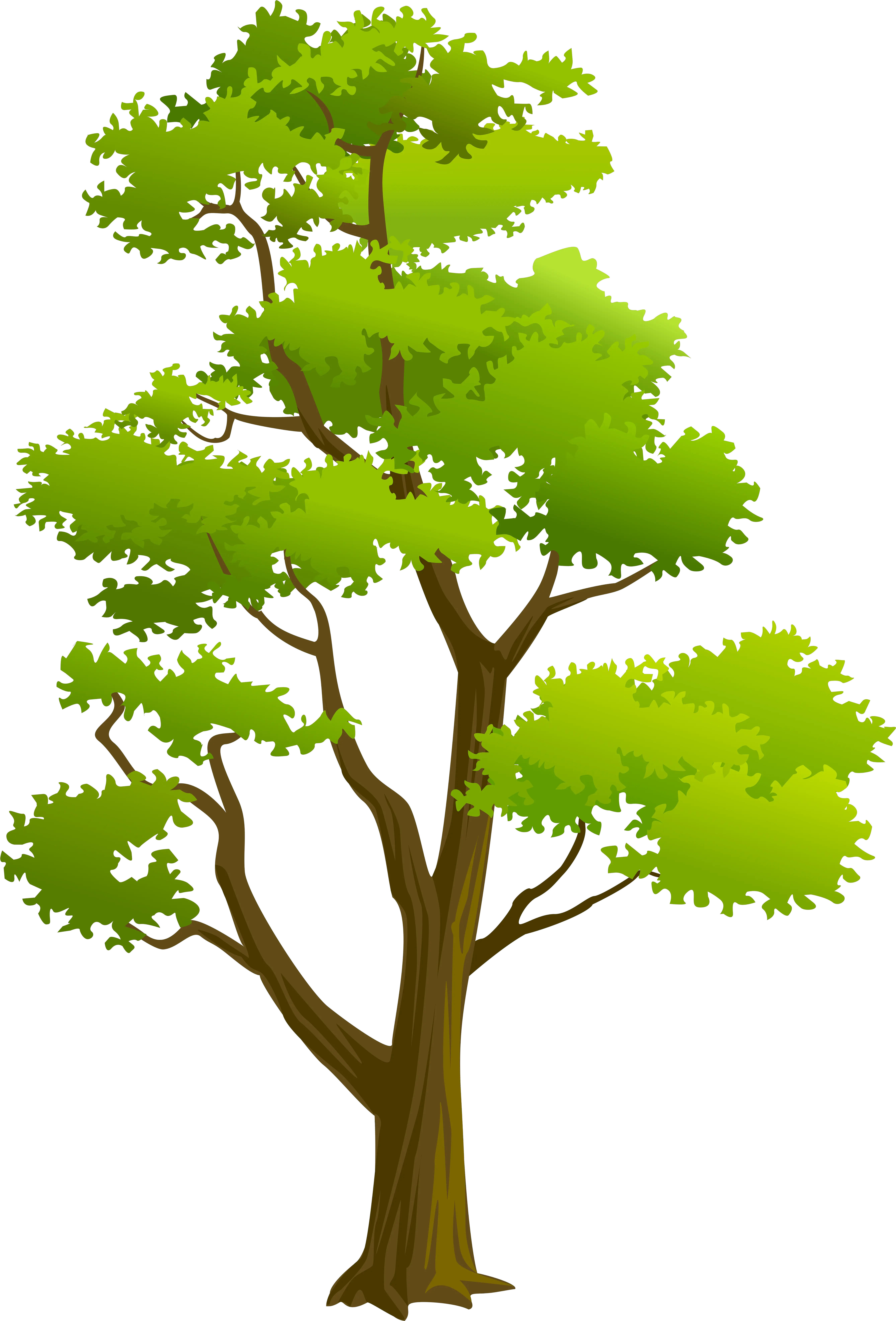 Tree Clipart High Resolution Png Trees