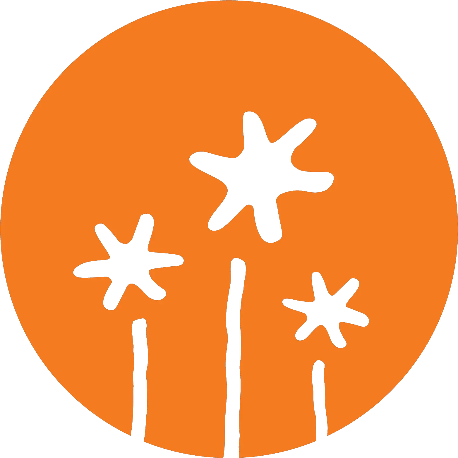 Mission U0026 Values North Star Reach Pumpkin Vegetable Png Joy Icon