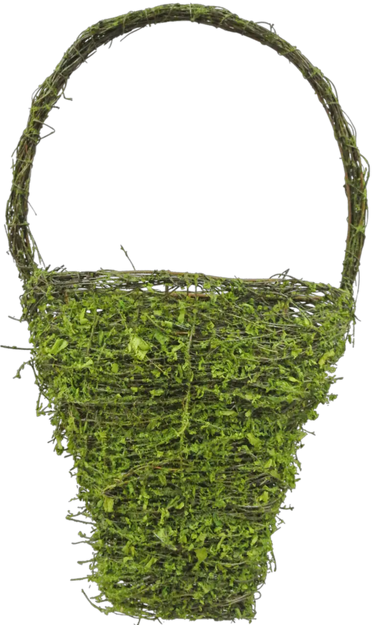 18 Moss Wall Pocket Basket Moss Png Moss Png