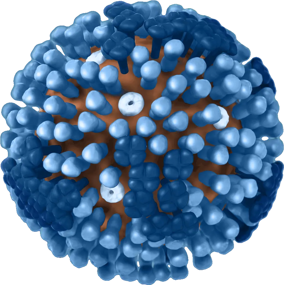 Virus Cold Transparent Png Clipart Swine Flu Virus Gif Virus Transparent