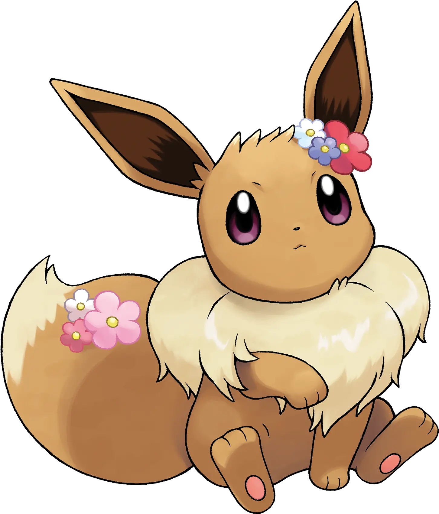 Florals Pokemon Eevee Png Eevee Transparent