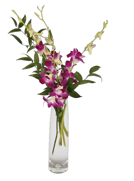 Download Elegant Orchids Purple Orchid Png In Vase Png Moth Orchids Orchid Png