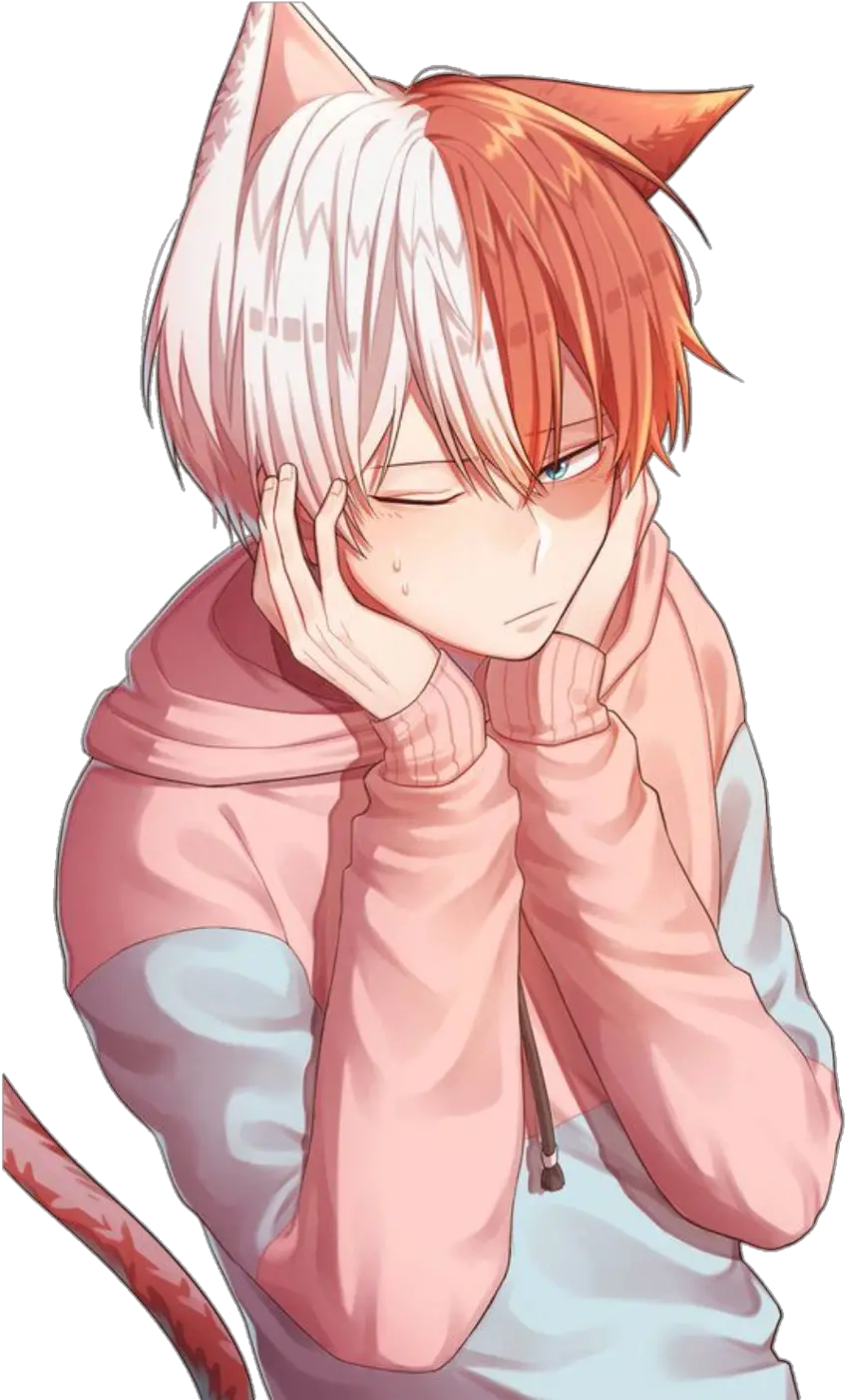 My Hero Academia Todoroki Cute Todoroki X Male Reader Smut Png Todoroki Png