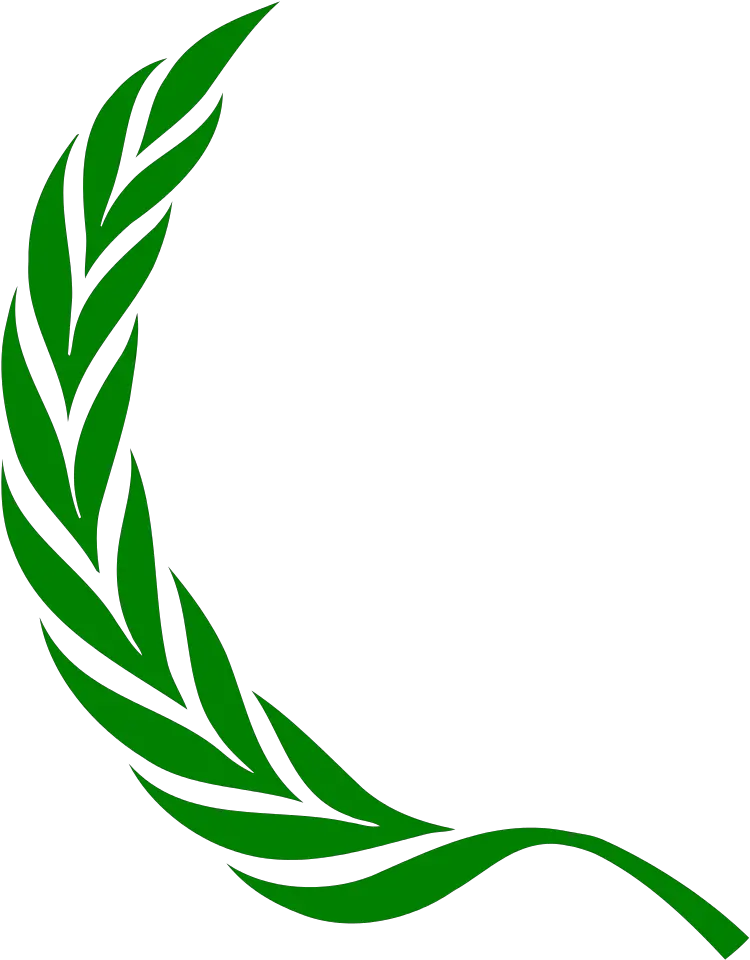 Filelaurel Leftsvg Wikimedia Commons Laurel Wreath Png Laurel Png