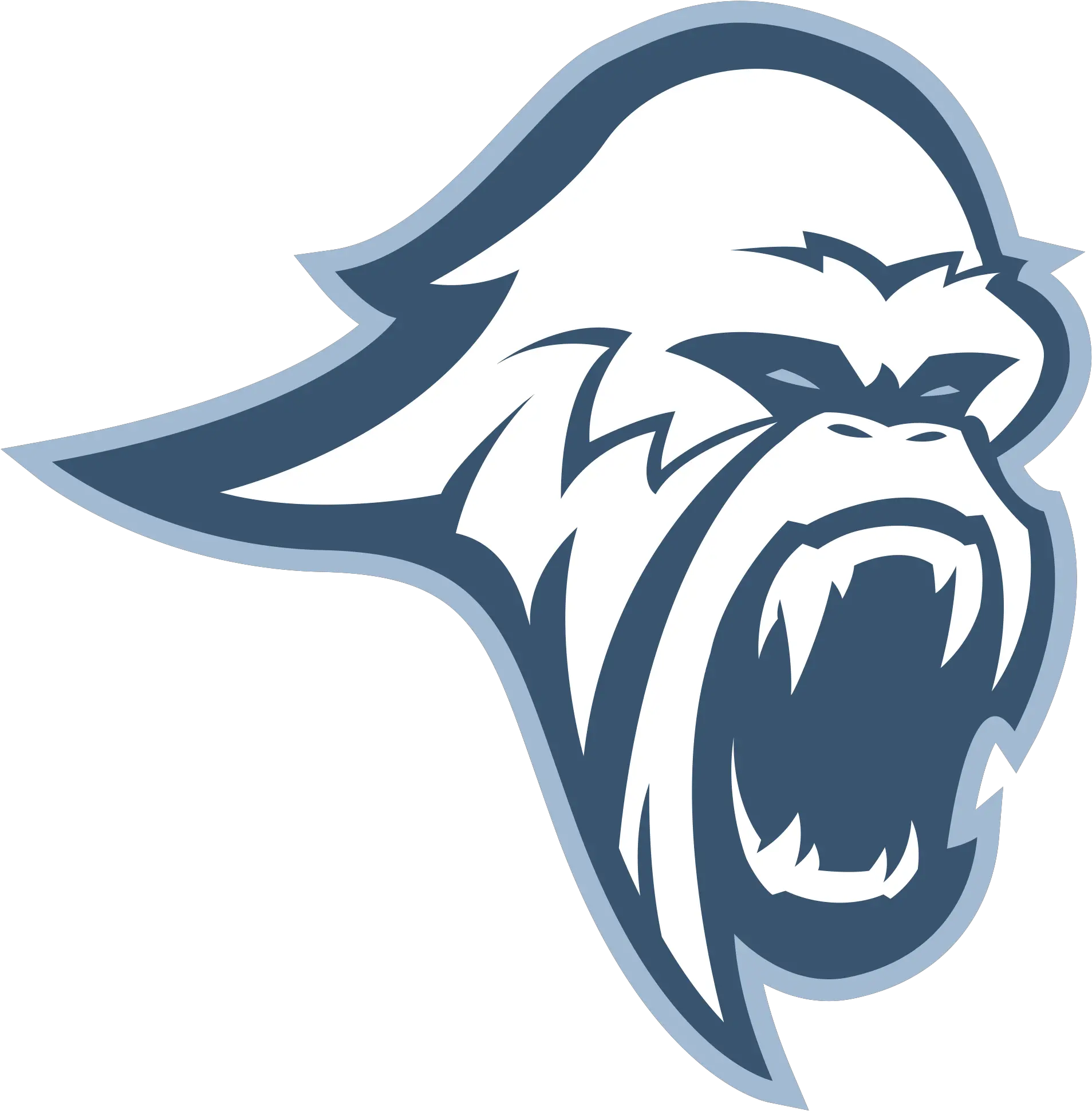 Blizzard Minor League Esports Automotive Decal Png Blizzard Logo Transparent